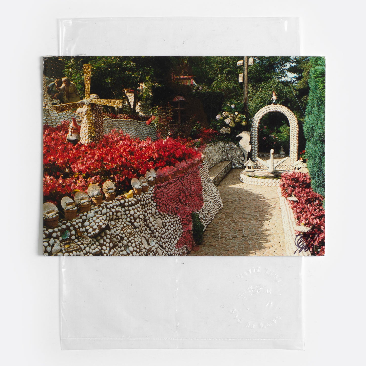 Fetch, Dawn, Fetch II