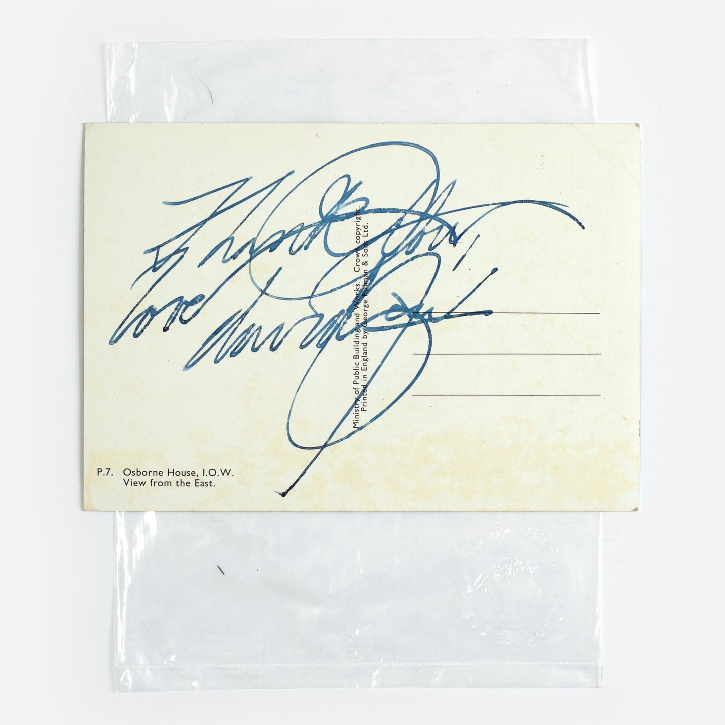 Fetch, Dawn, Fetch IX