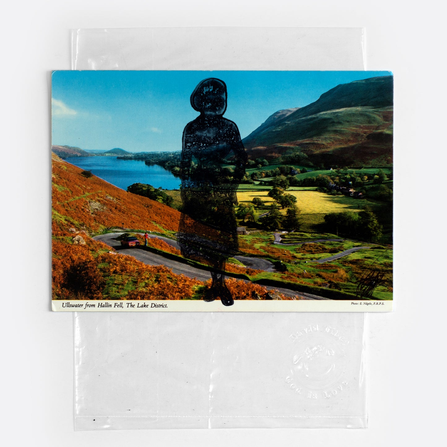 Fetch, Dawn, Fetch XII