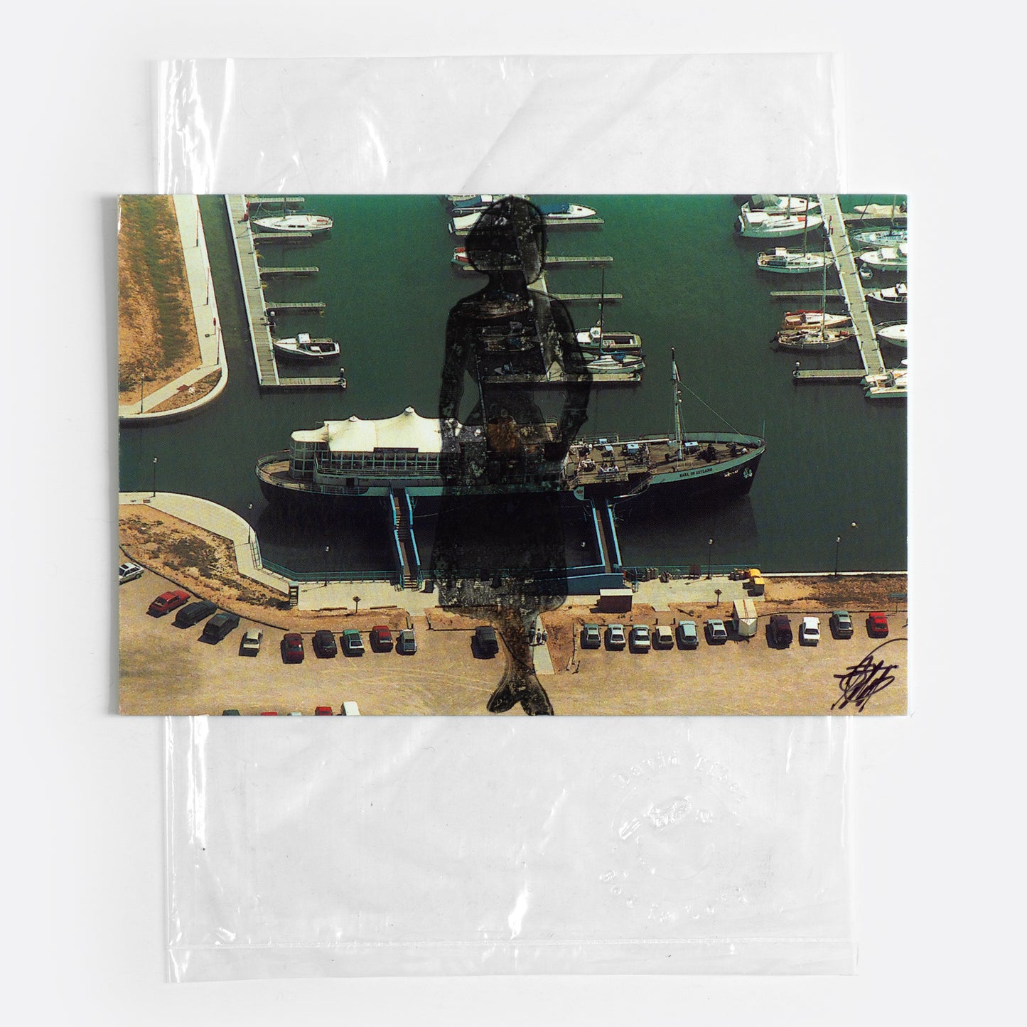 Fetch, Dawn, Fetch XVII