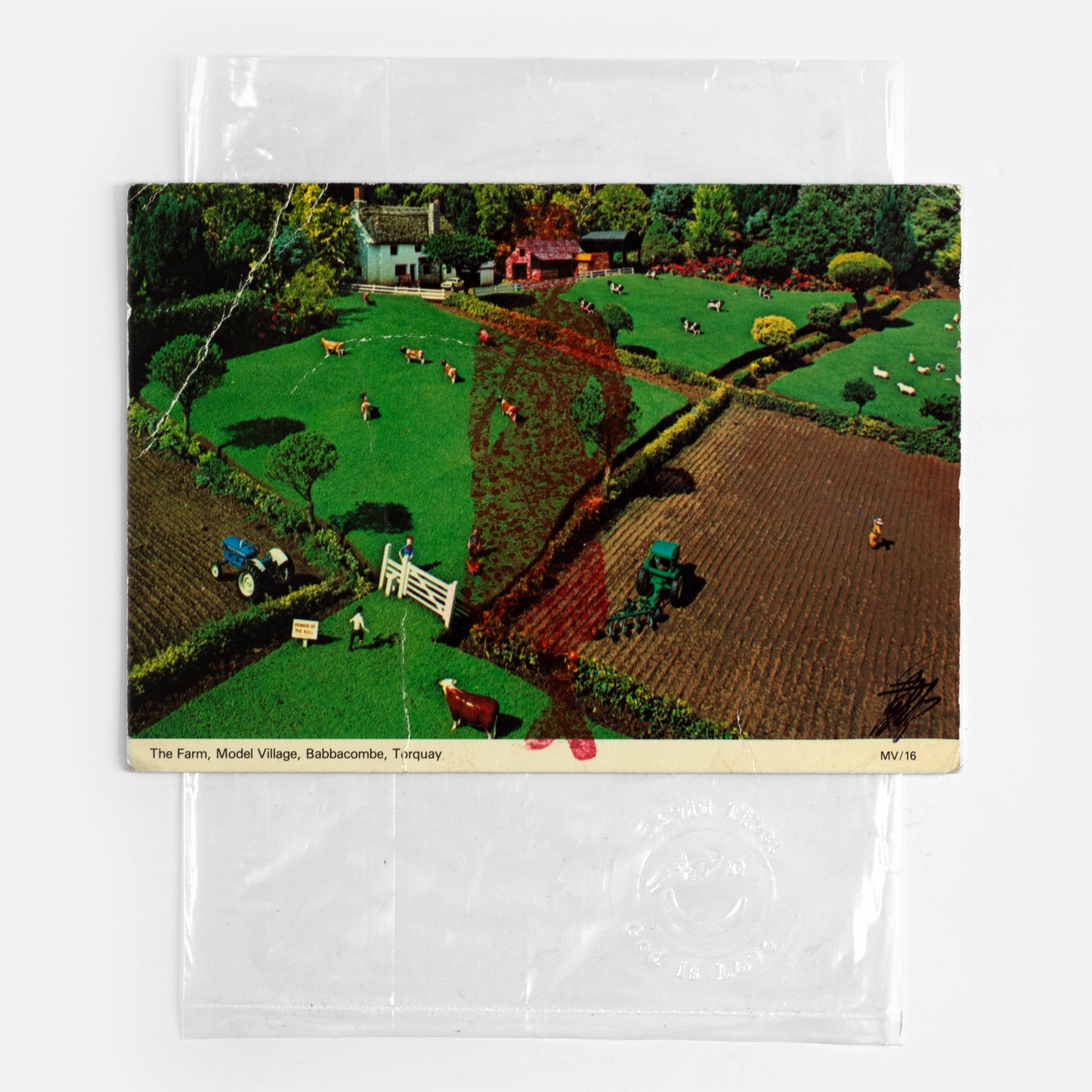 Fetch, Dawn, Fetch XVI