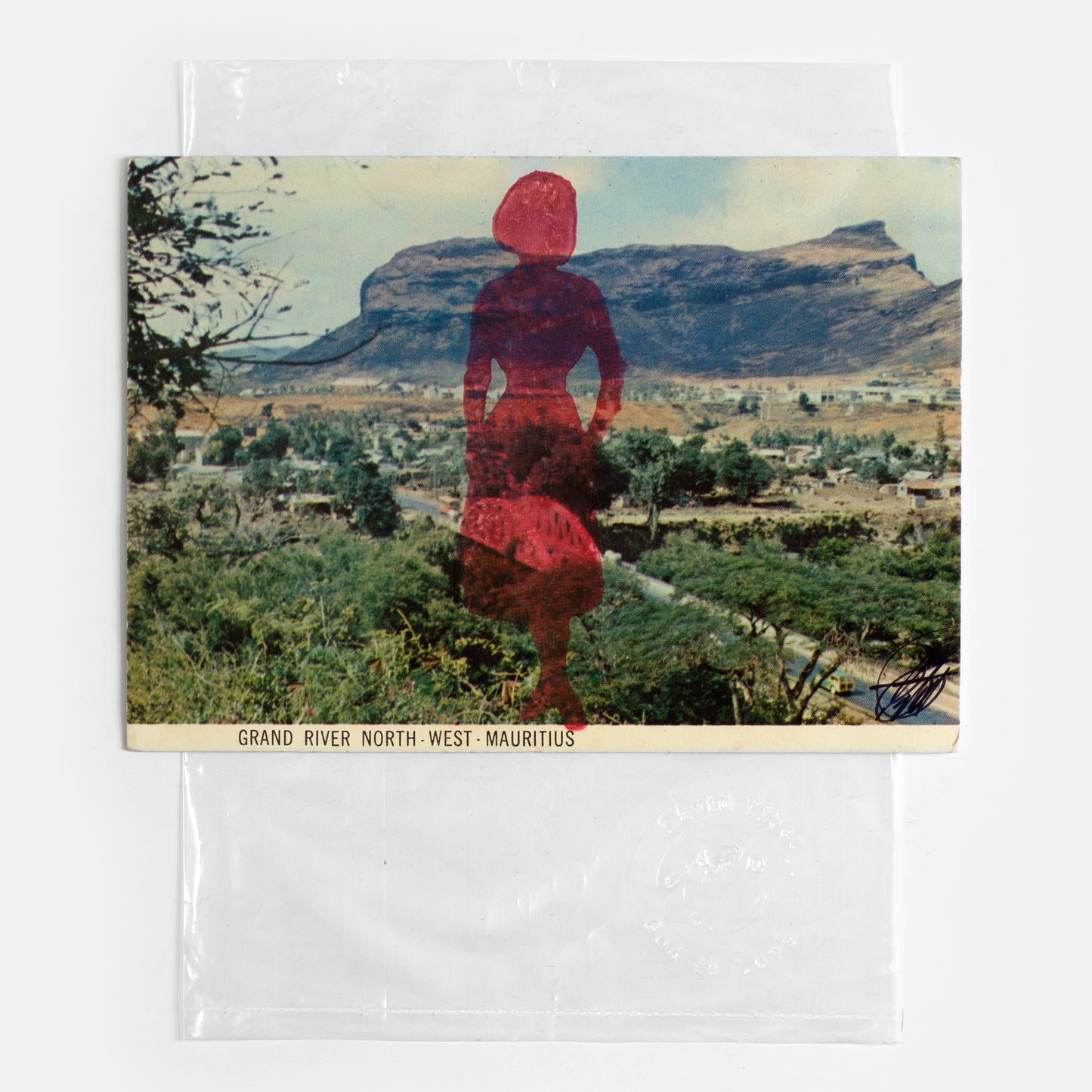 Fetch, Dawn, Fetch XV